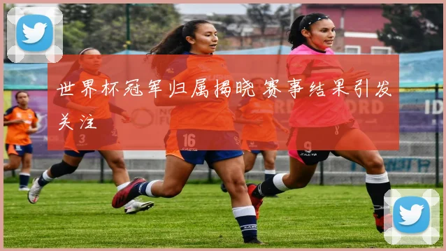 世界杯冠军归属揭晓 赛事结果引发关注