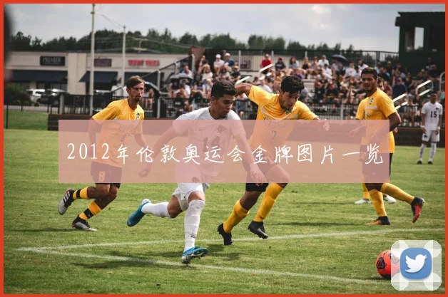 2012年伦敦奥运会金牌图片一览