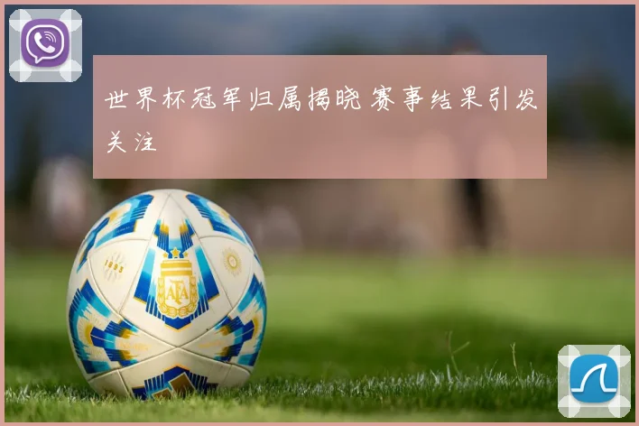 世界杯冠军归属揭晓 赛事结果引发关注