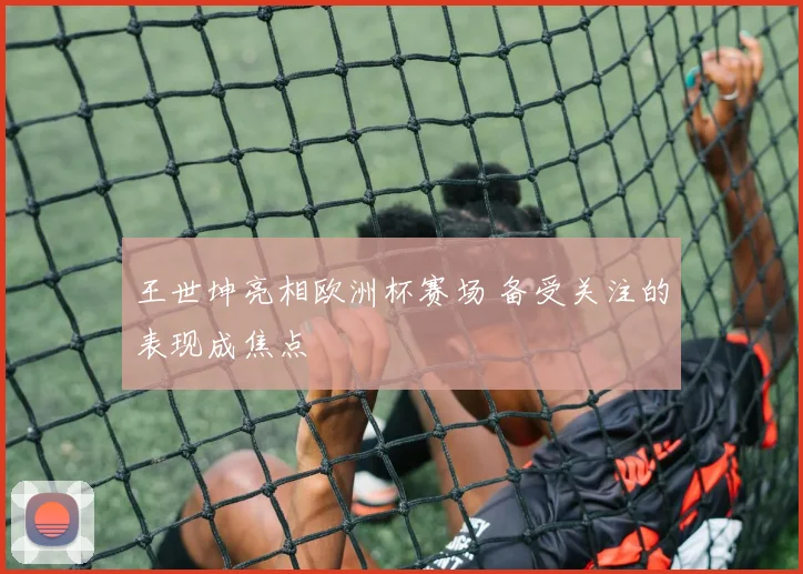 王世坤亮相欧洲杯赛场 备受关注的表现成焦点